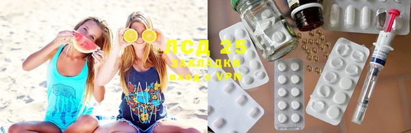 прущие крисы Аркадак