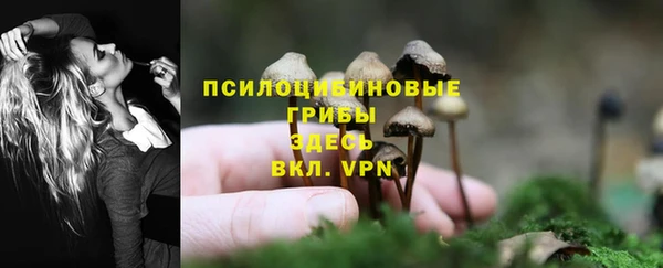 прущие крисы Аркадак