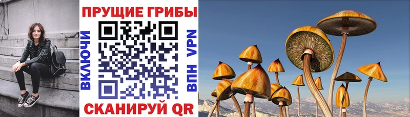 Галлюциногенные грибы ЛСД  даркнет Telegram  Белебей 